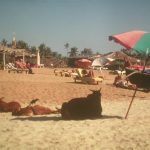 2000_indien
