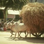 2000_indien