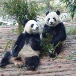 China | Laos 2012
