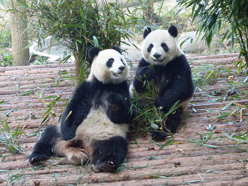 China | Laos 2012